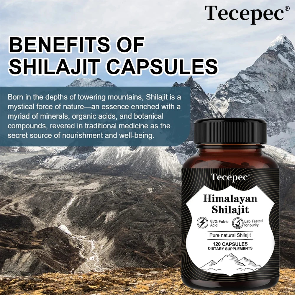 Southern Strength: Himalayan Shilajit Capsules