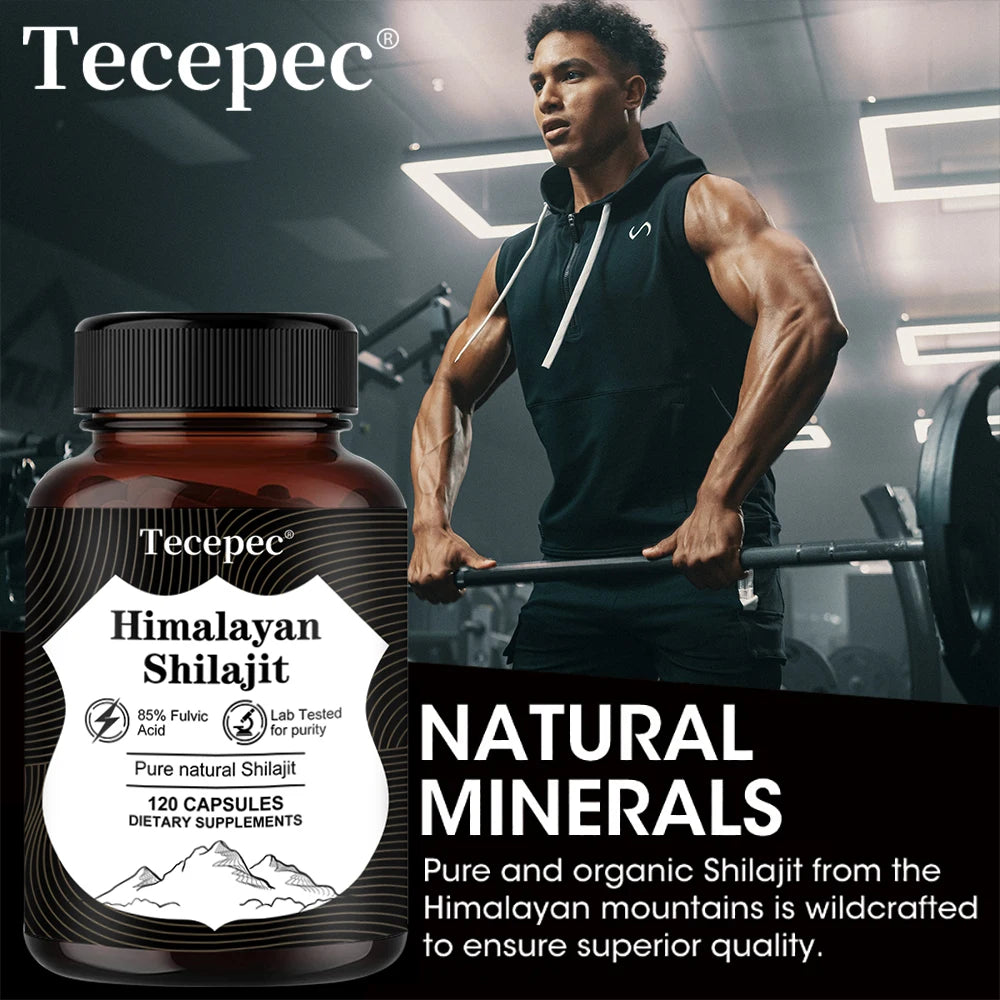 Southern Strength: Himalayan Shilajit Capsules